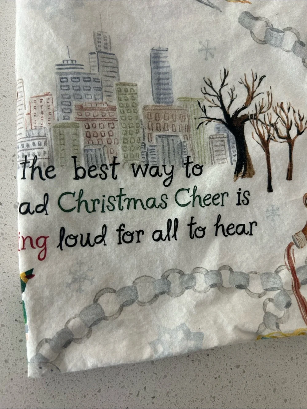 Pottery Barn Elf Christmas Pillowcase